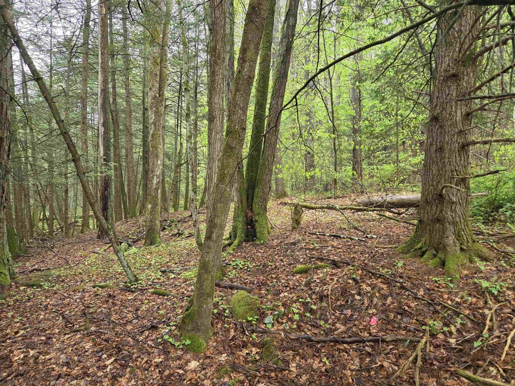 Picture 27