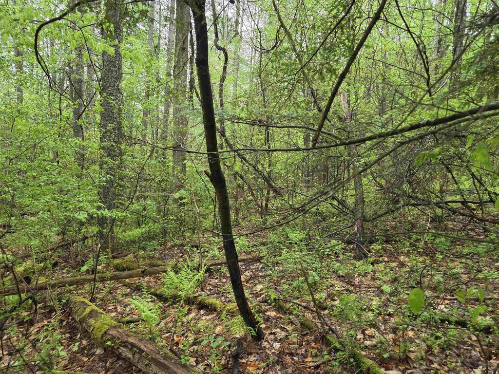 Picture 14