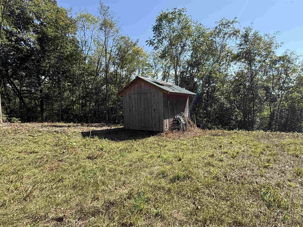 Picture 18