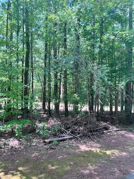 Wooded Lot in Callison Estates
