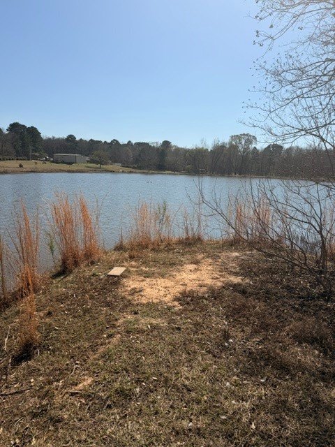 Picture 11