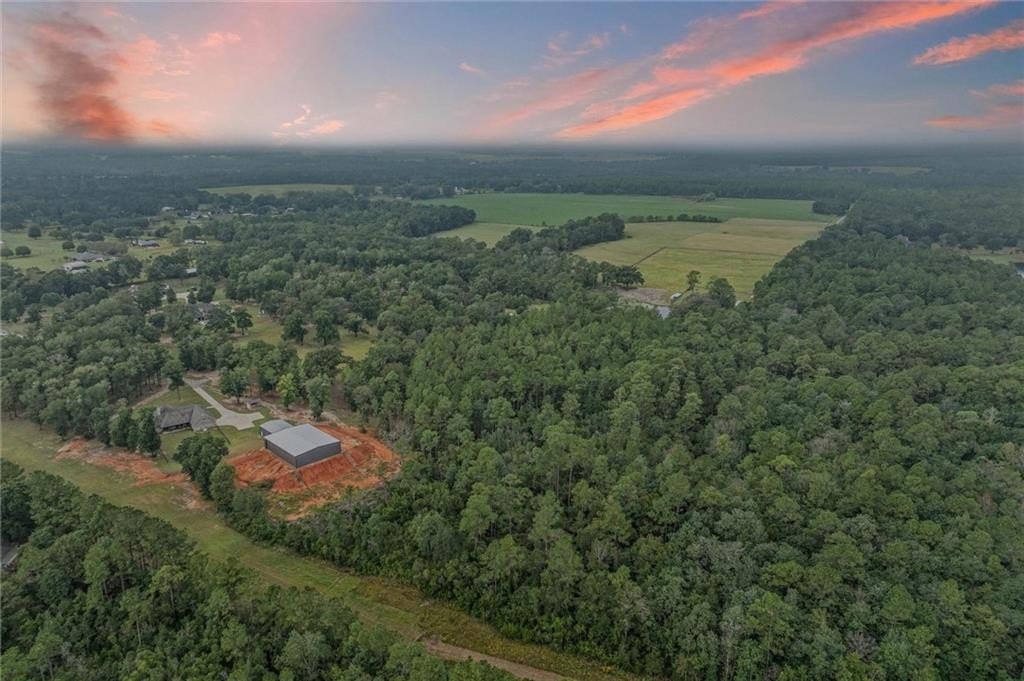 Partially Wooded Land in Mobile
