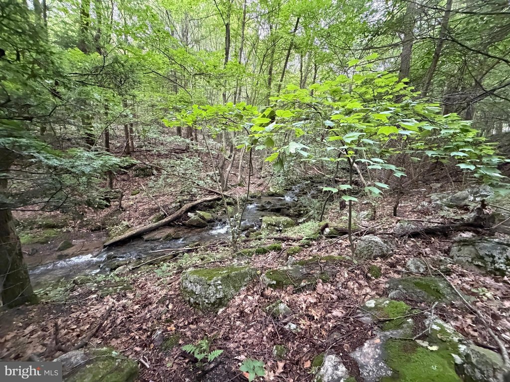 Picture 26