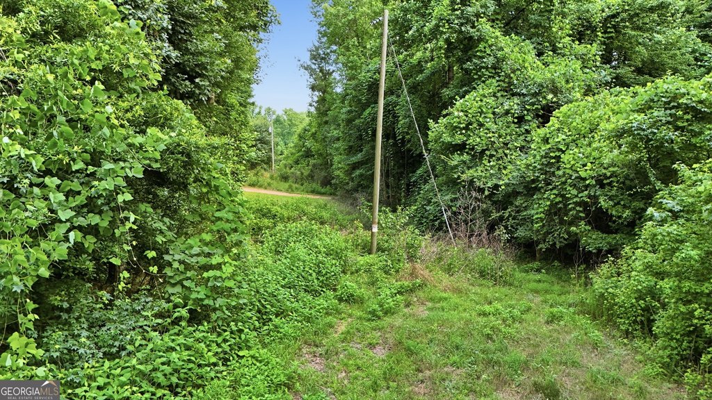 Picture 12