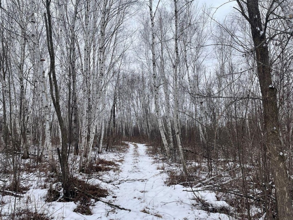Picture 23