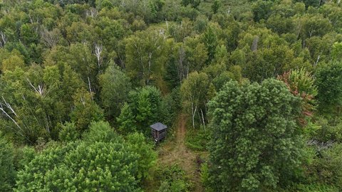 Wooded Hunting Land
