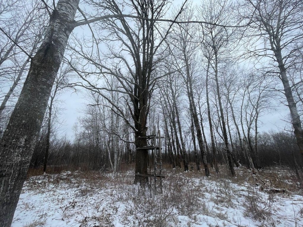 Picture 30