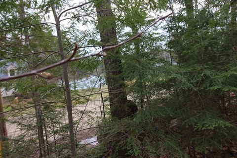 Waterfront Wooded Land Lot