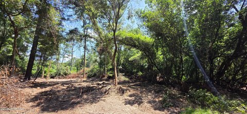 Beech Island Acreage For Sale