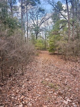 Secluded Wood County Land