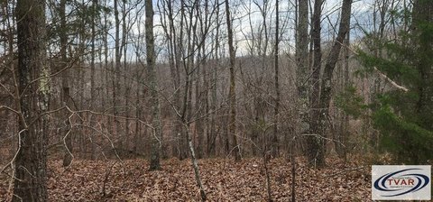 Unrestricted Land Near Tennessee River