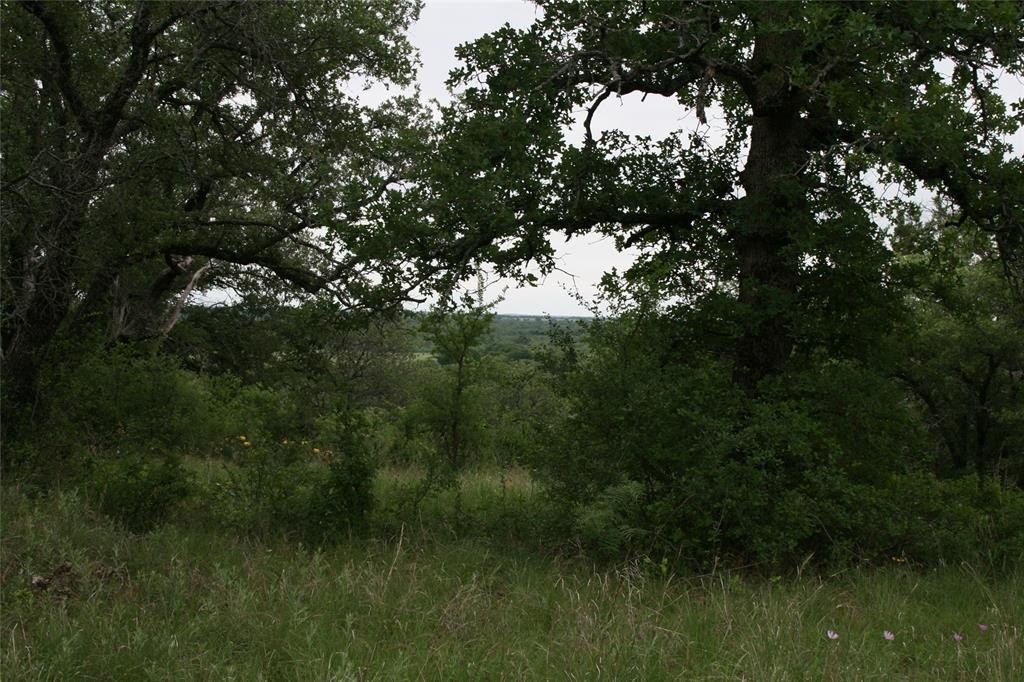 Picture 14
