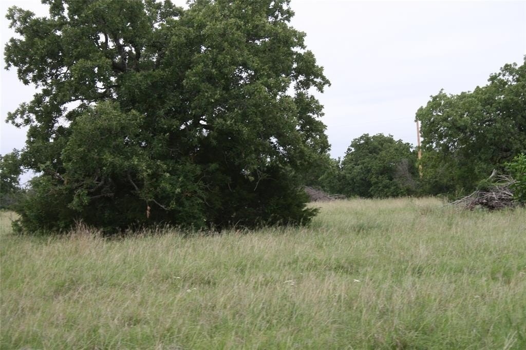 Picture 26