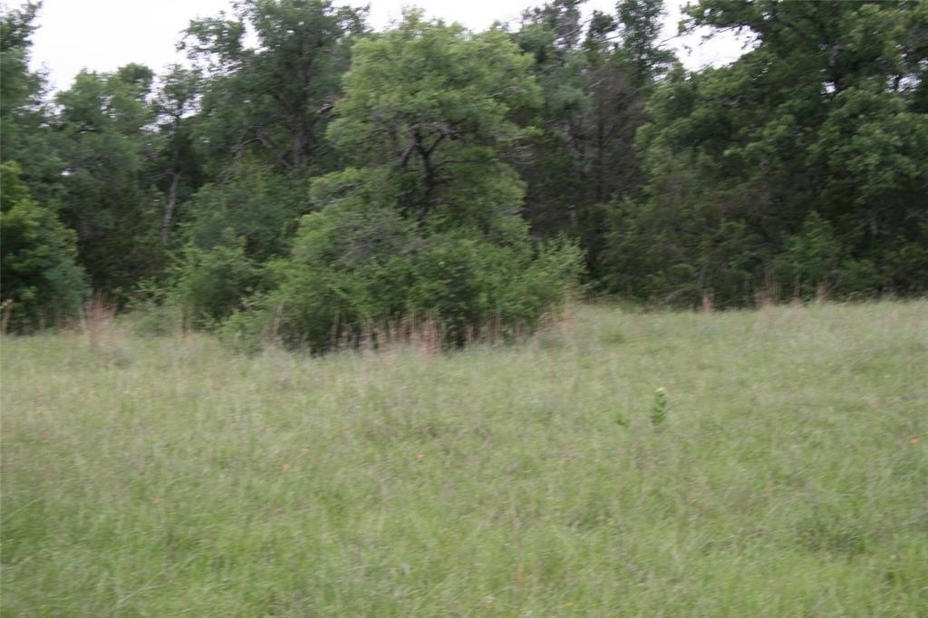Picture 24