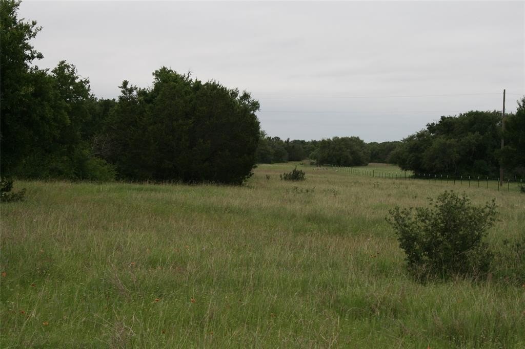 Picture 27