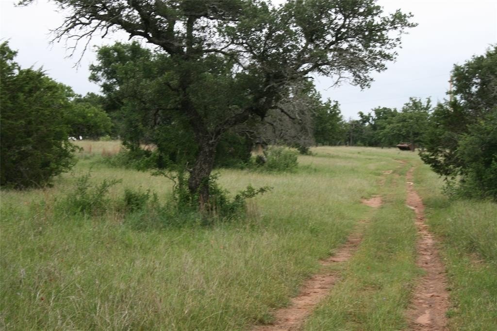 Picture 28