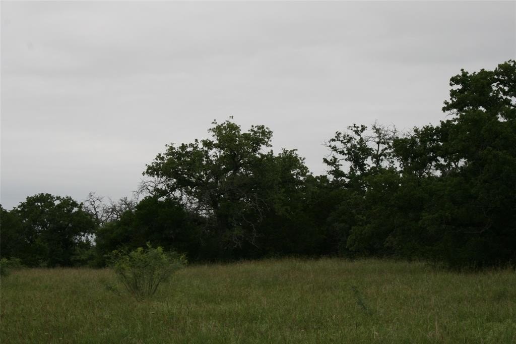 Picture 29