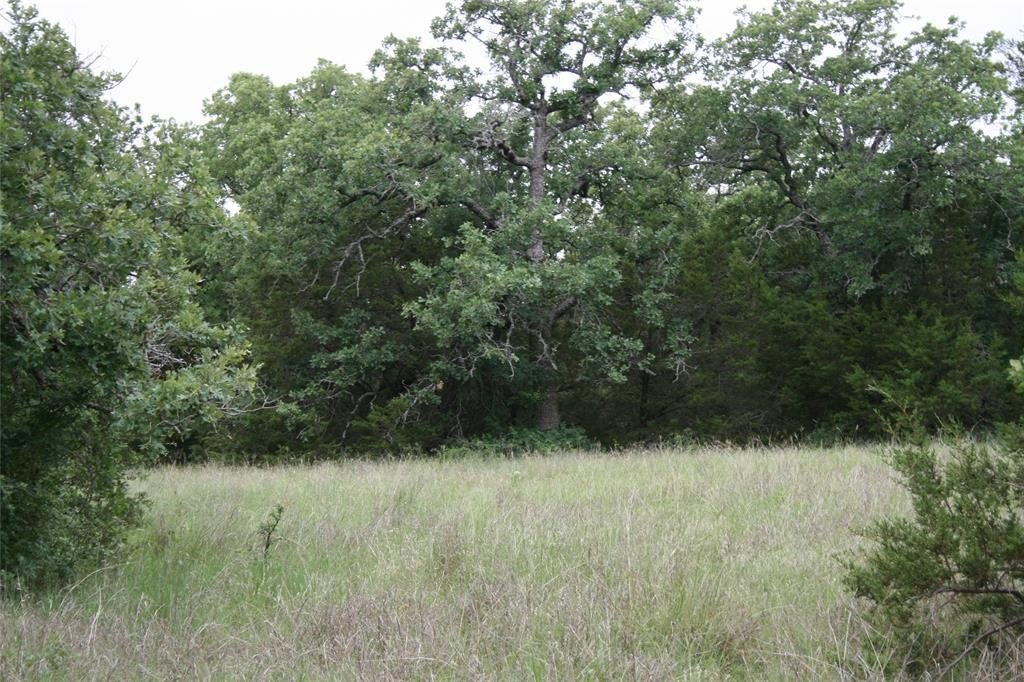 Picture 21