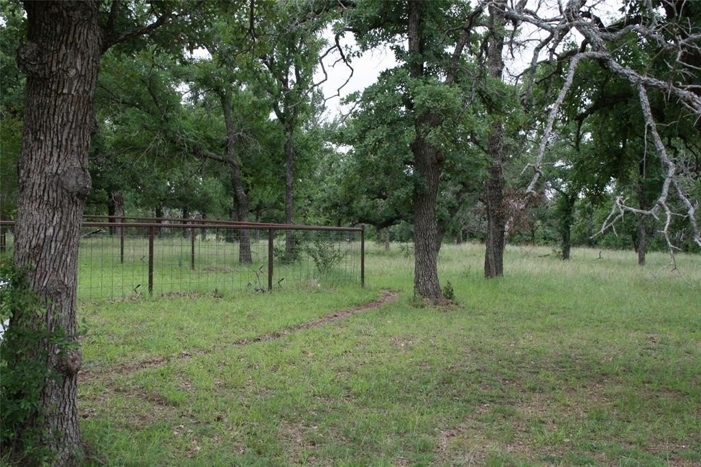 Picture 9
