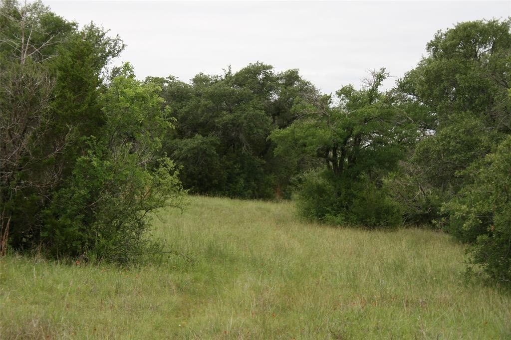 Picture 23