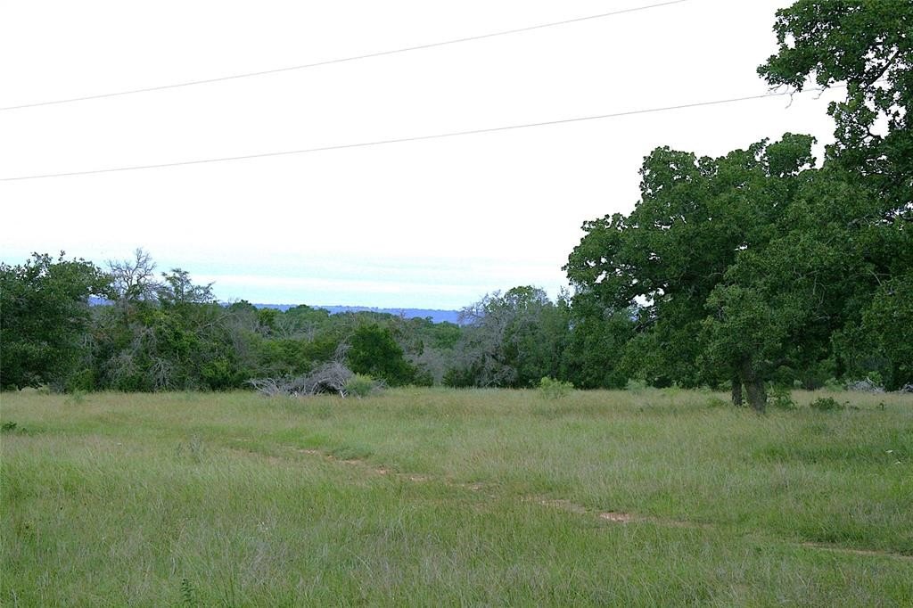 Picture 31