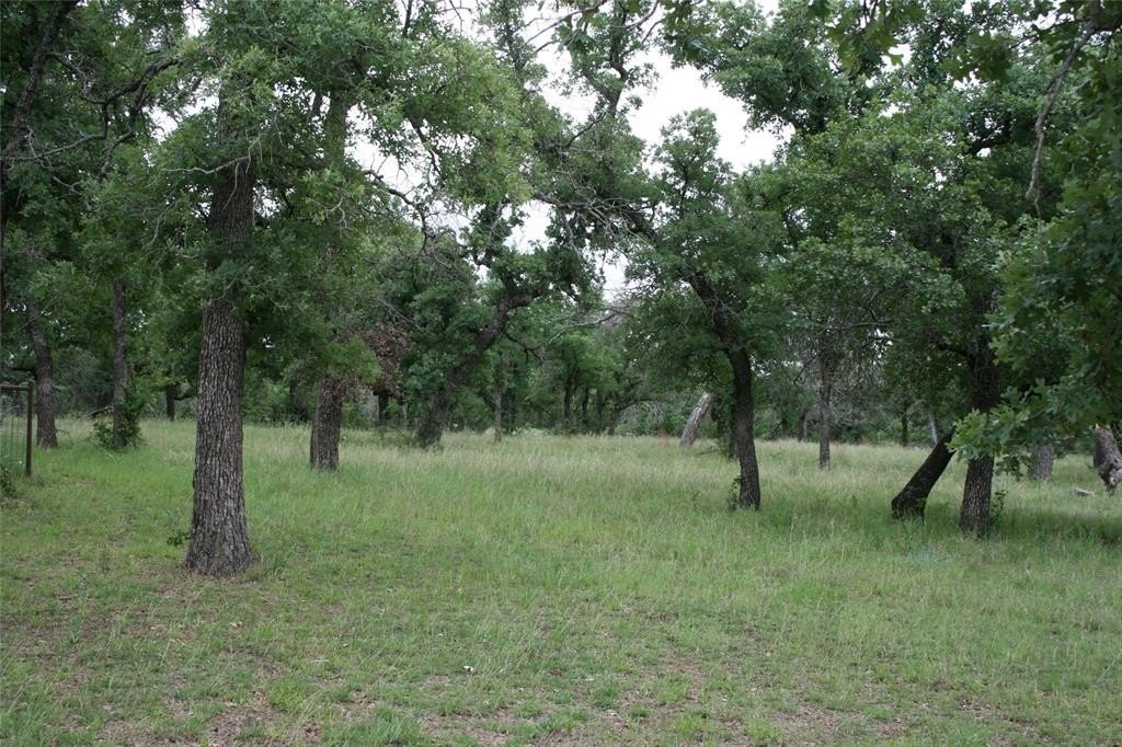 Picture 32