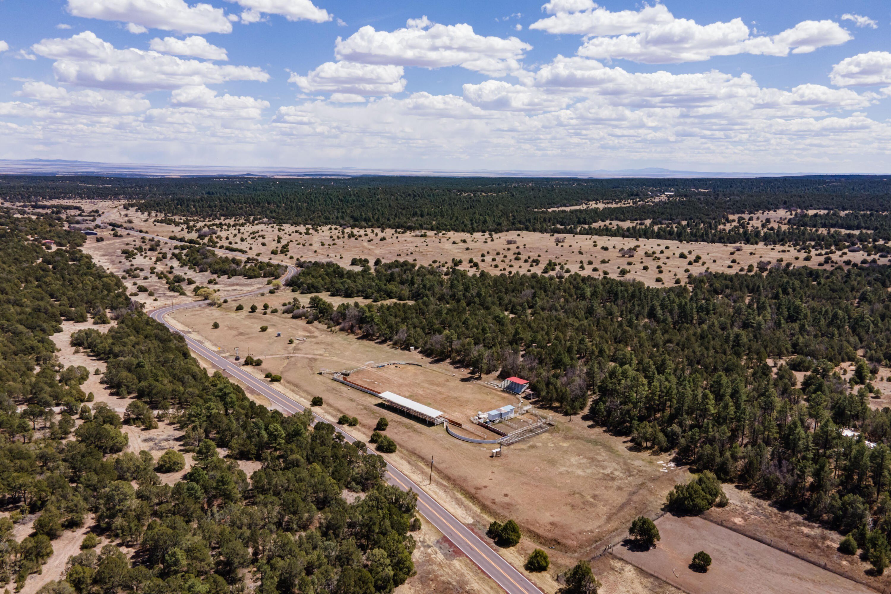 Bar Diamond S Rodeo Land