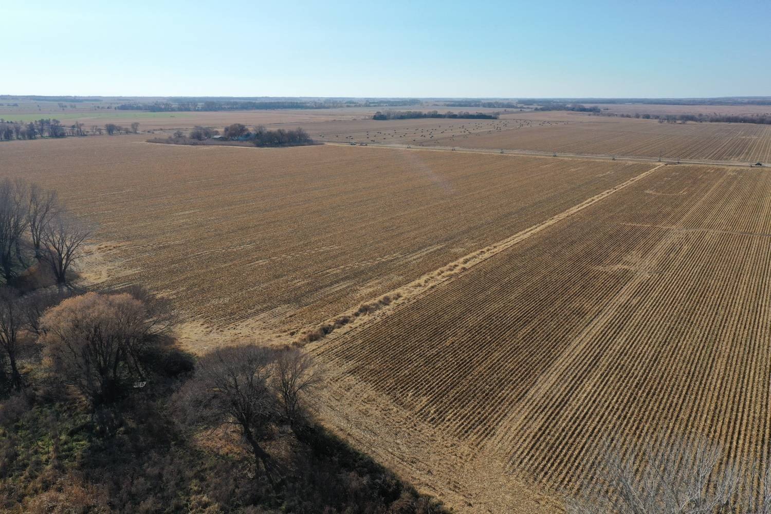 Productive Farm with Irrigated Land