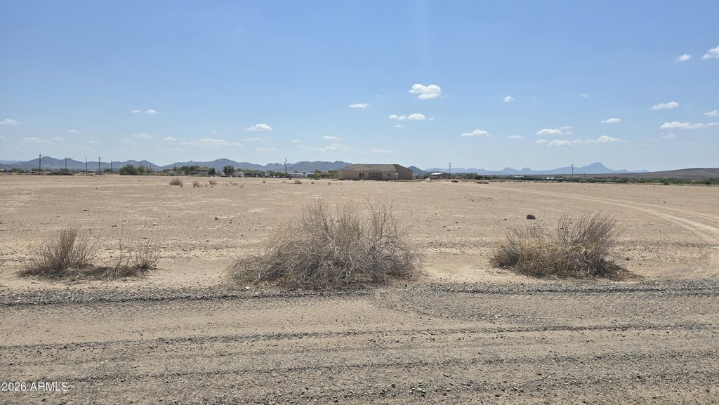 Picture 6