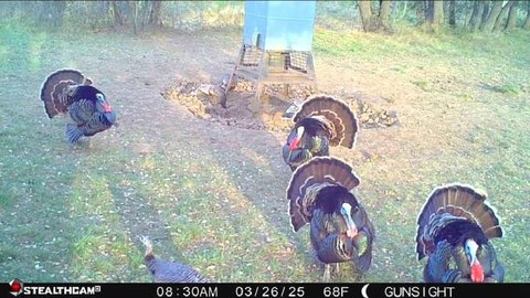 Secluded Hunting Land Near Breckenridge