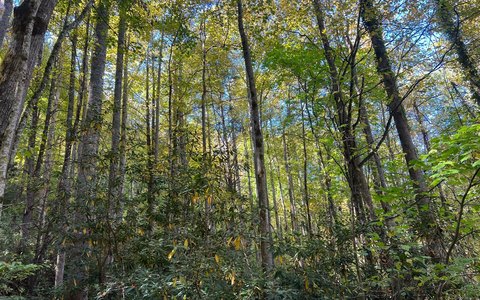 Hayesville, NC Creek Front Lot