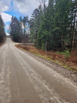 Land, Washington, NH