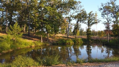 Vacant Land, Story, AR