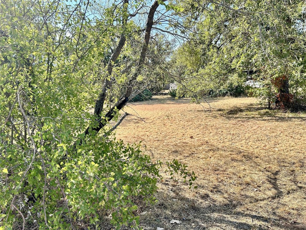 Picture 7