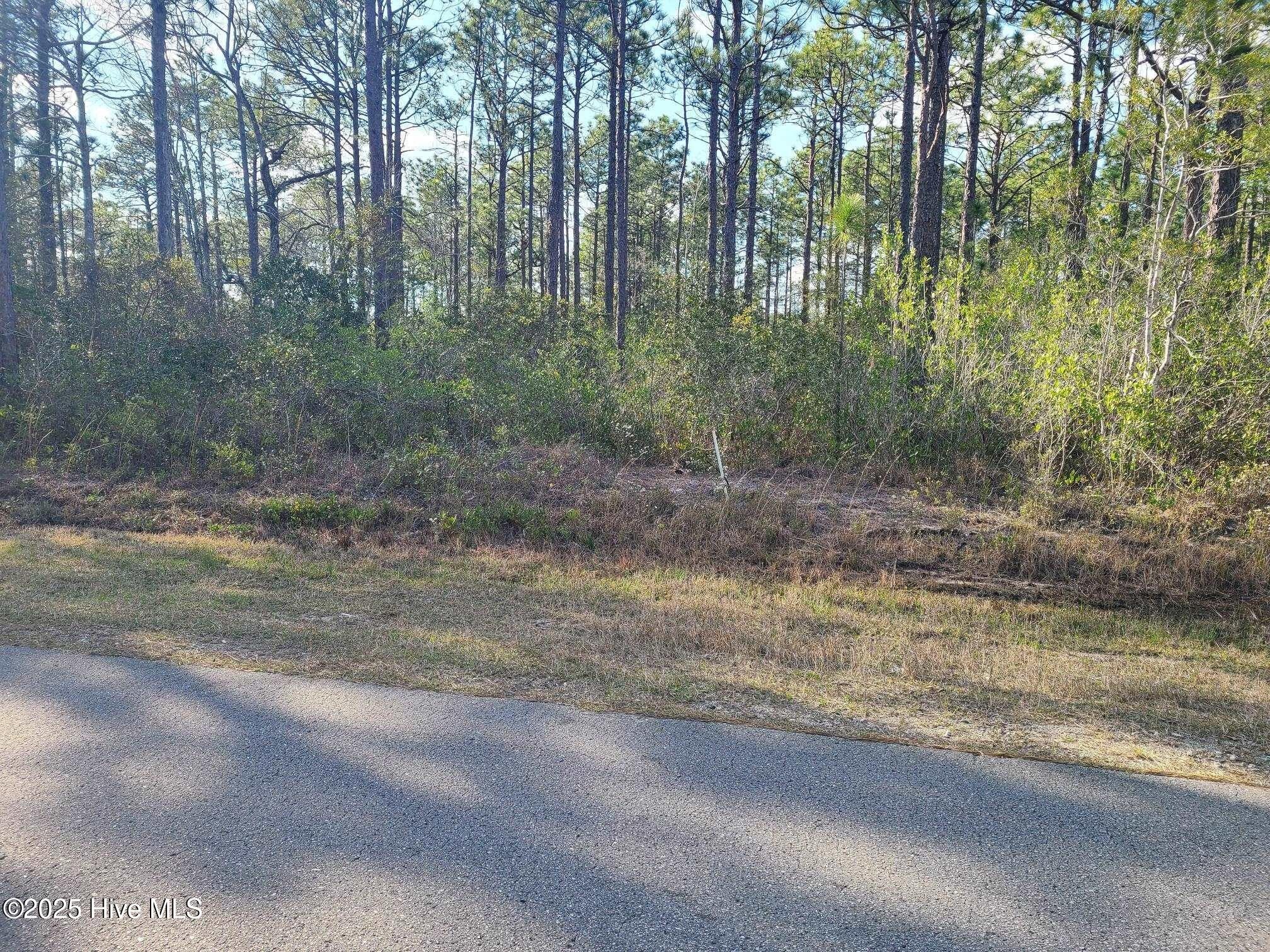 Residential Lot in Boiling Spring Lakes