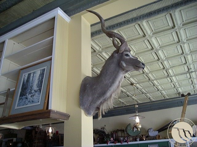 Picture 10