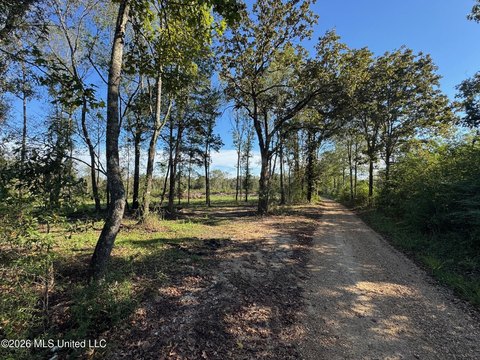 Land, Magnolia, MS