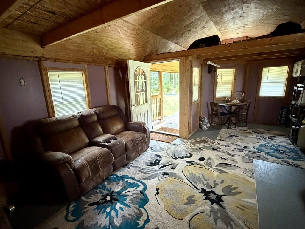 Picture 5