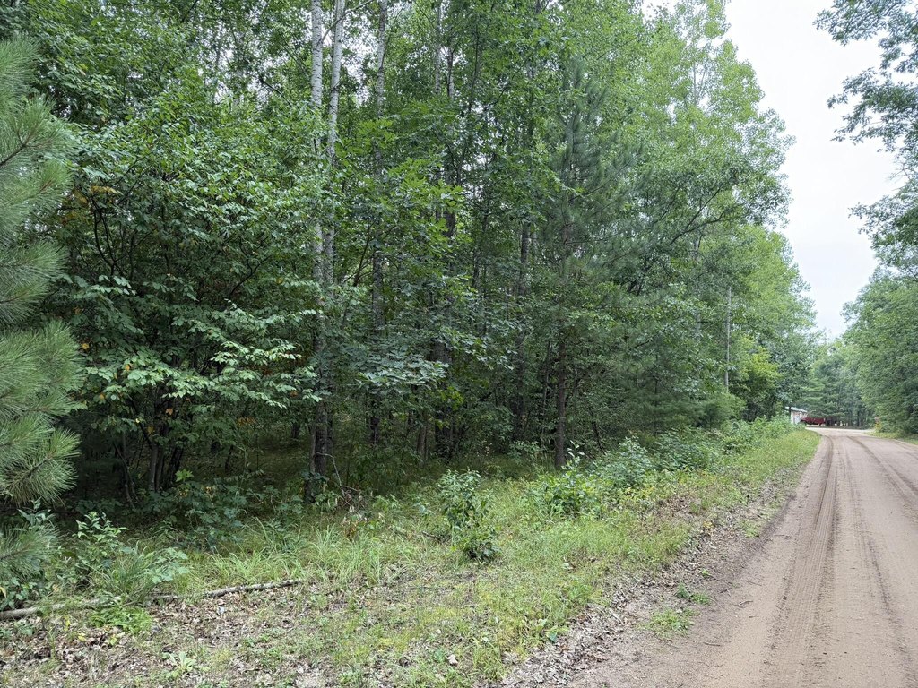 Picture 15