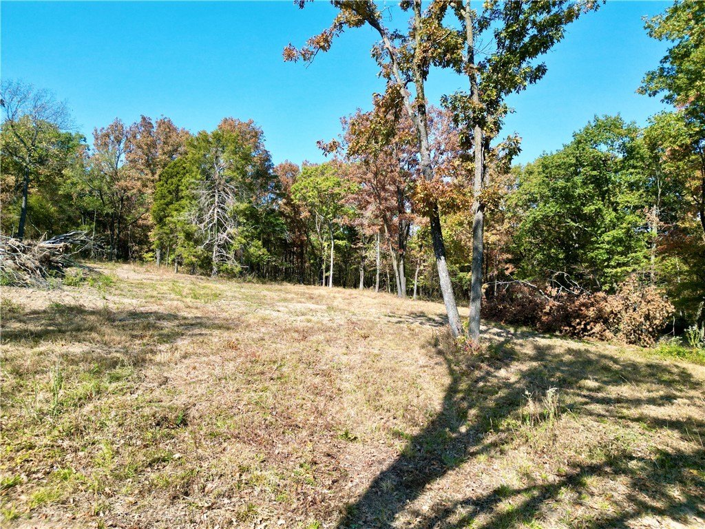 Picture 19