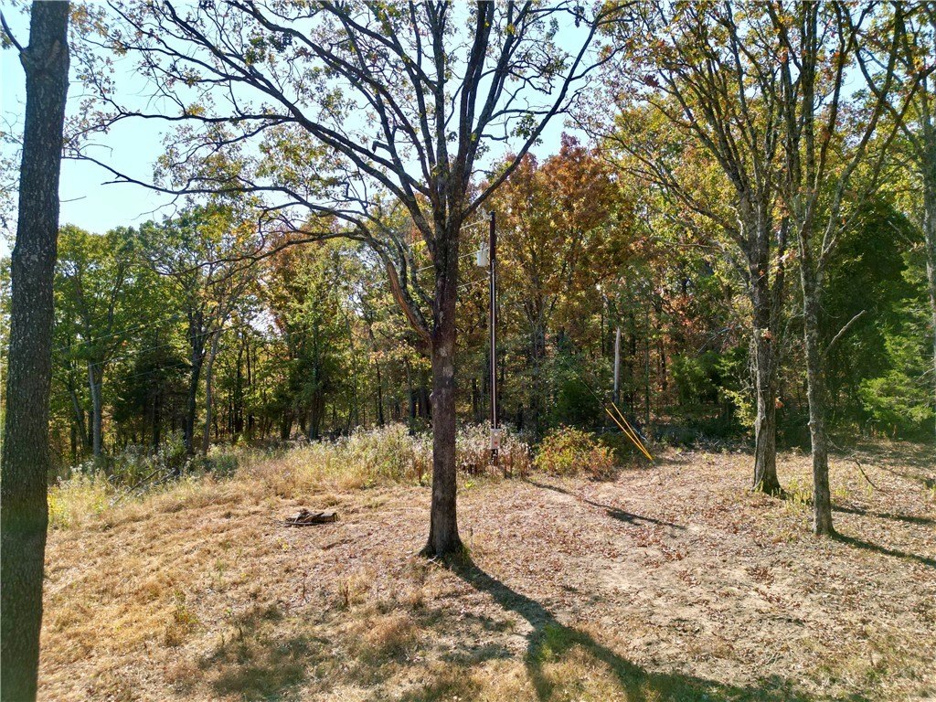 Picture 18