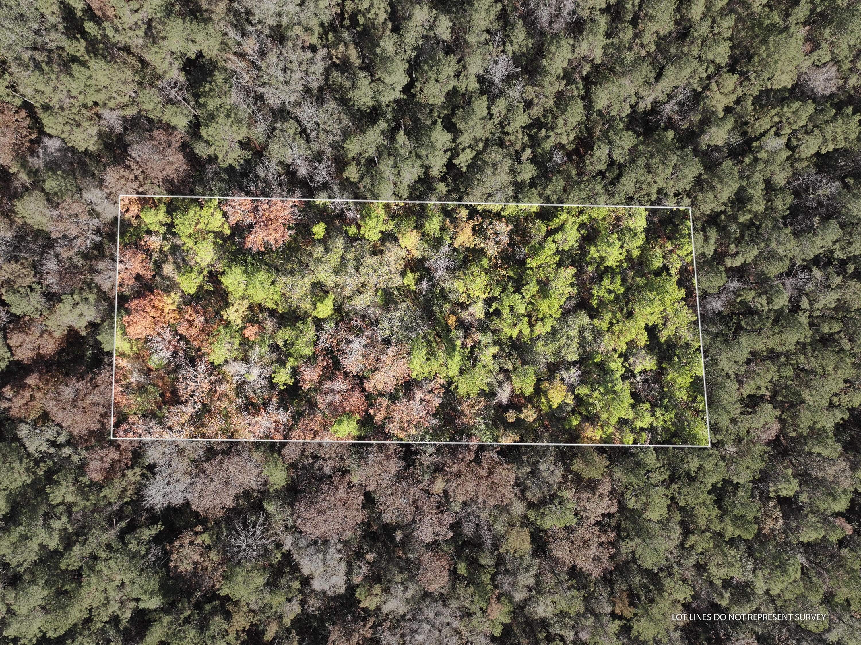 Leaf River Access Land