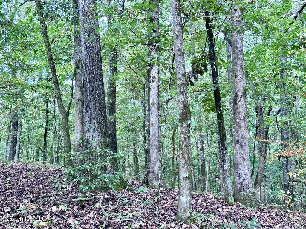 Picture 33
