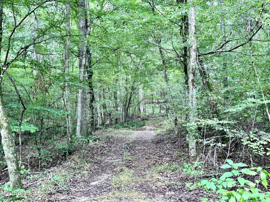 Picture 30
