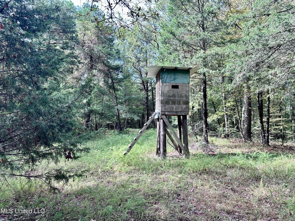 Picture 36