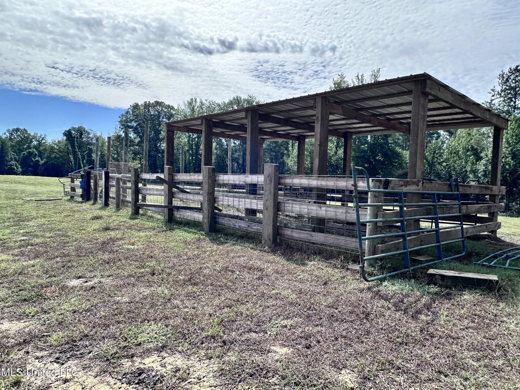 Picture 40