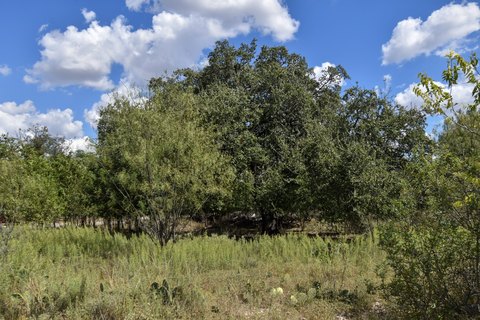 Unimproved Land in Brady, TX