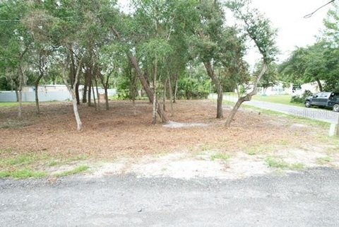 Land, PAISLEY, FL