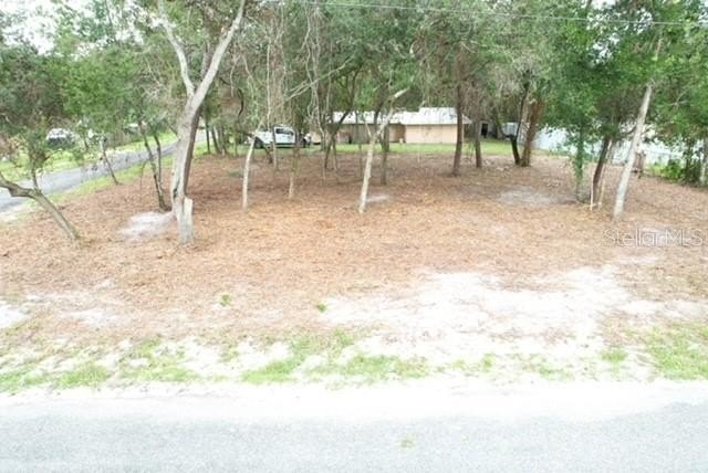 Picture 9