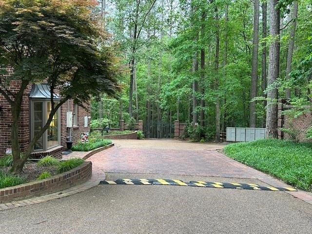 Picture 8